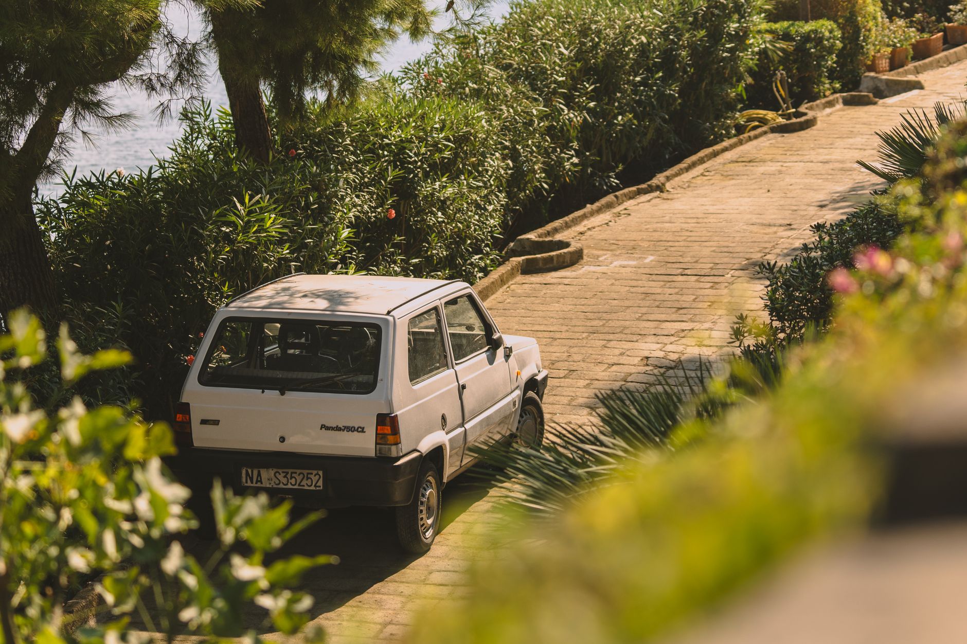 A white Fiat Panda on a serene paved path surrounded by greenery in Naples, Italy.