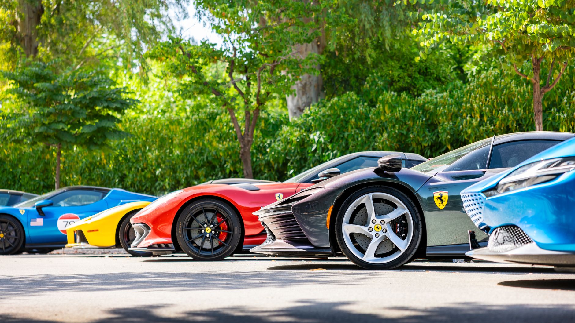 A vibrant display of luxury sports cars parked outdoors on a sunny day.