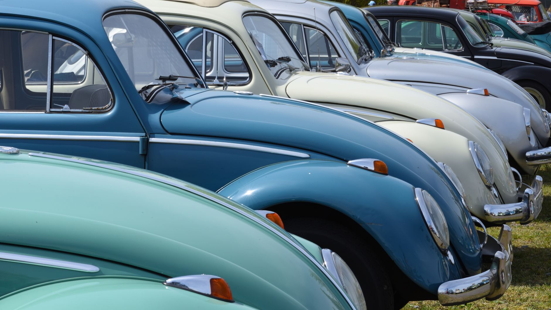 A lineup of classic Volkswagen Beetles in various colors at an outdoor car event in Hannover.