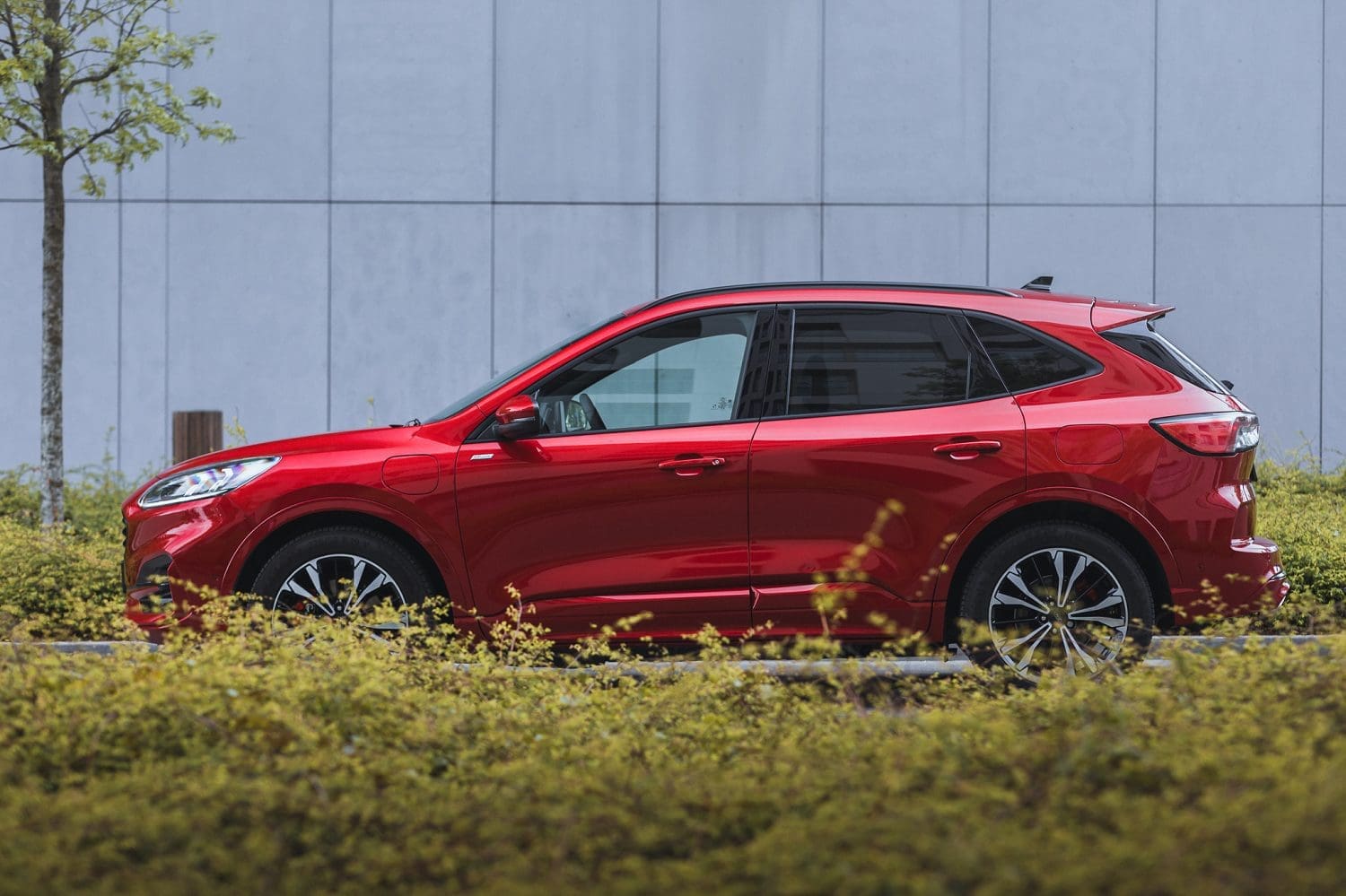 Ford Kuga 2023. Połączenie komfortu i bezpieczeństwa