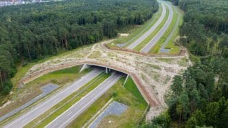 obwodnica Oświęcimia w ciągu DK44