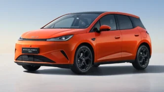 Byd dolphin g dm-i polska