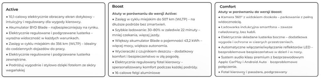Cena i wyposażenie BYD Dolphin Surf, źródło: BYD