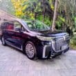 Dongfeng Motor Group w Polsce