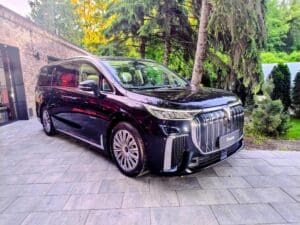 Dongfeng Motor Group w Polsce