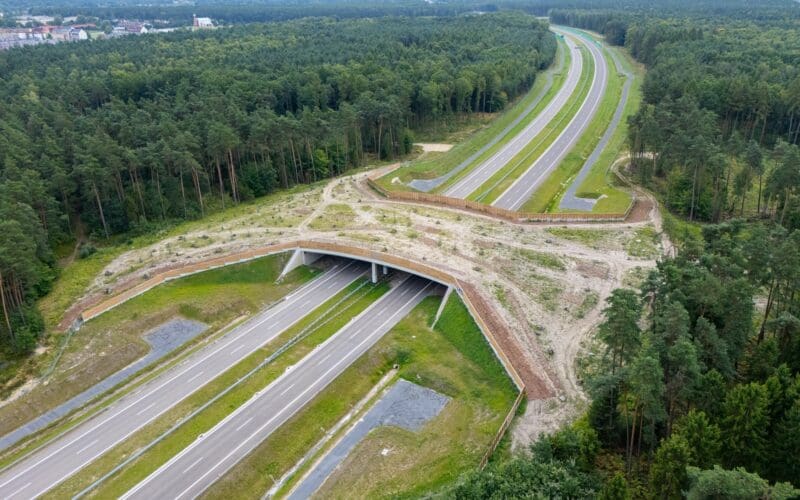 obwodnica Oświęcimia w ciągu DK44